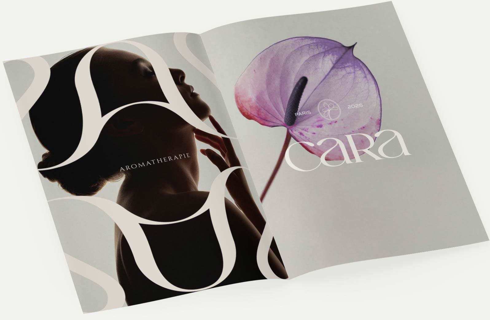 Identité visuelle et branding – Antoine Masure graphiste