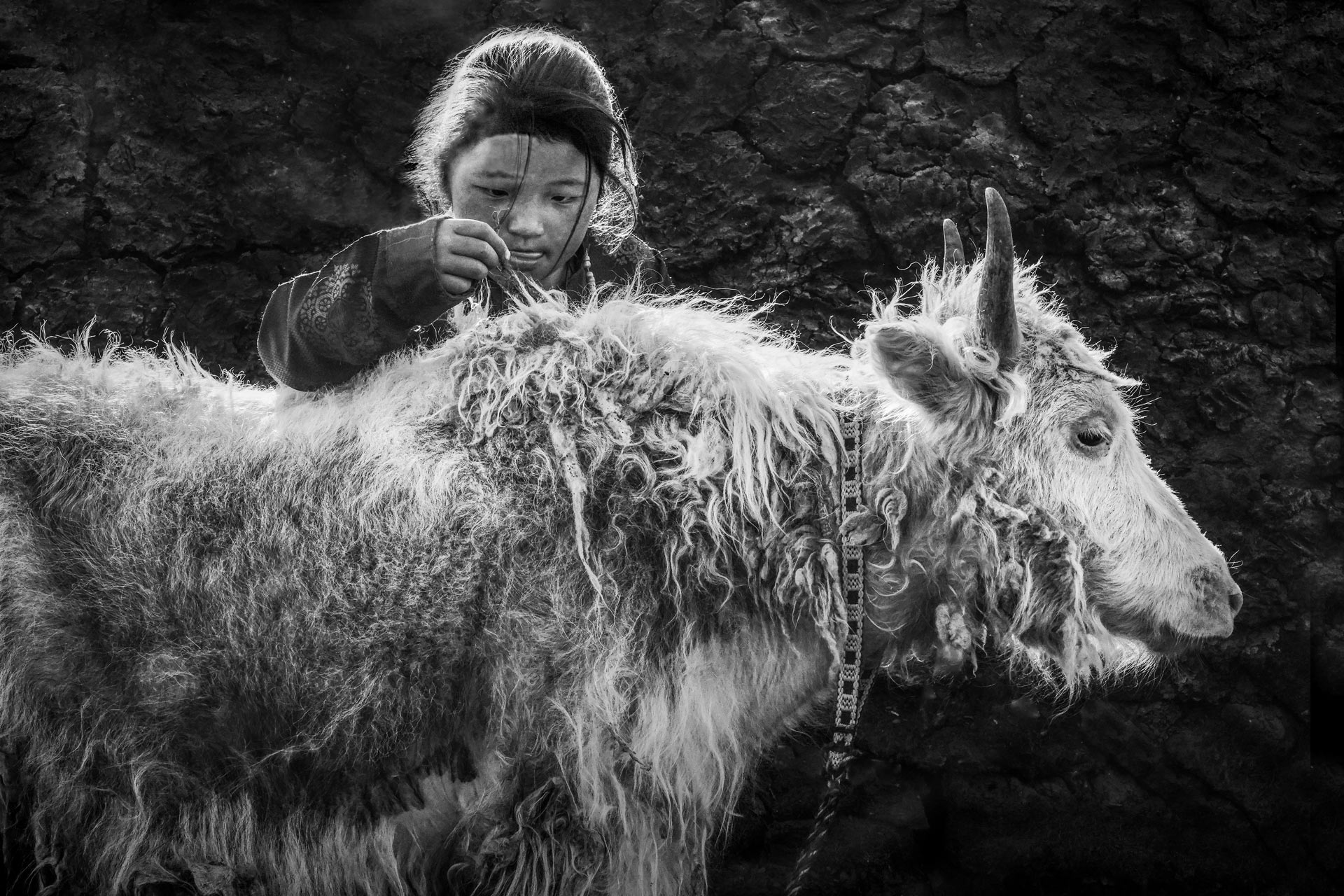 Antoine Masure photography