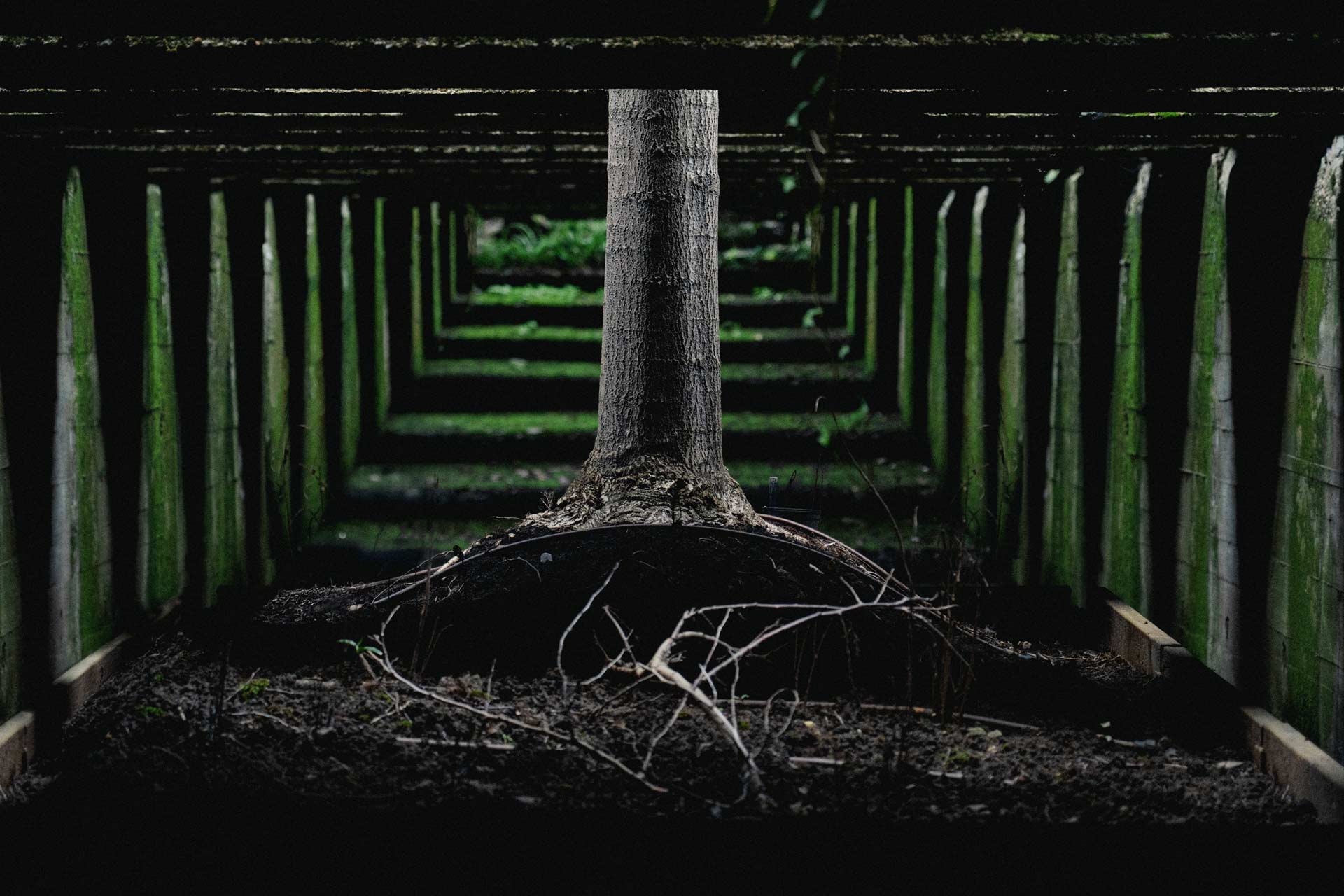 Antoine Masure photography