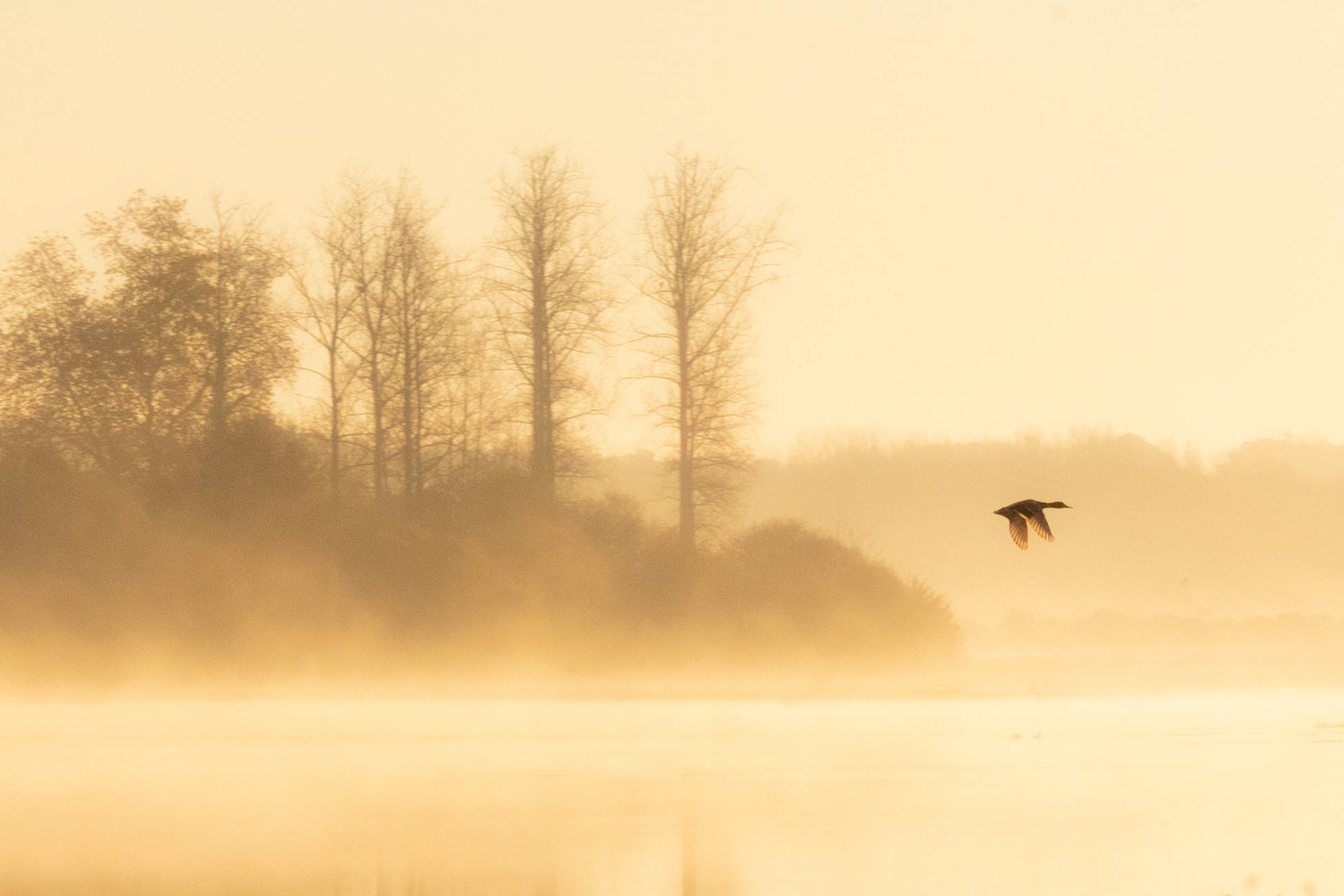 Antoine Masure photography